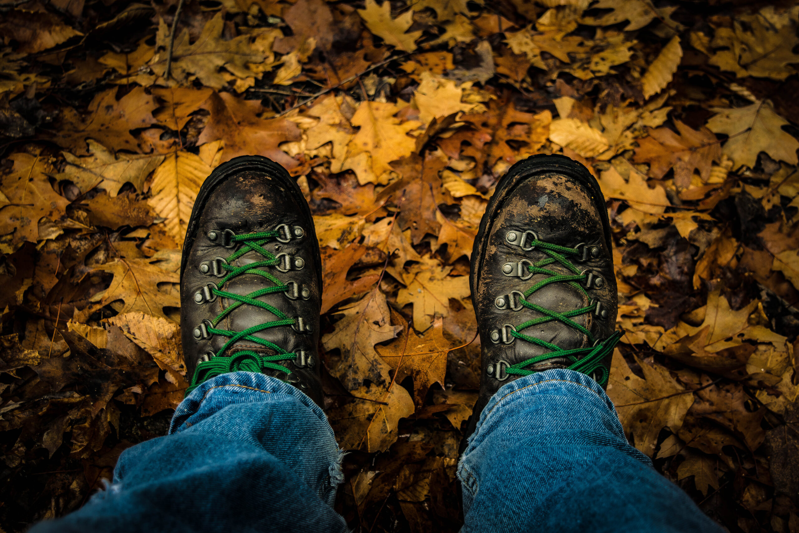 Worn,Boots,In,The,Woods